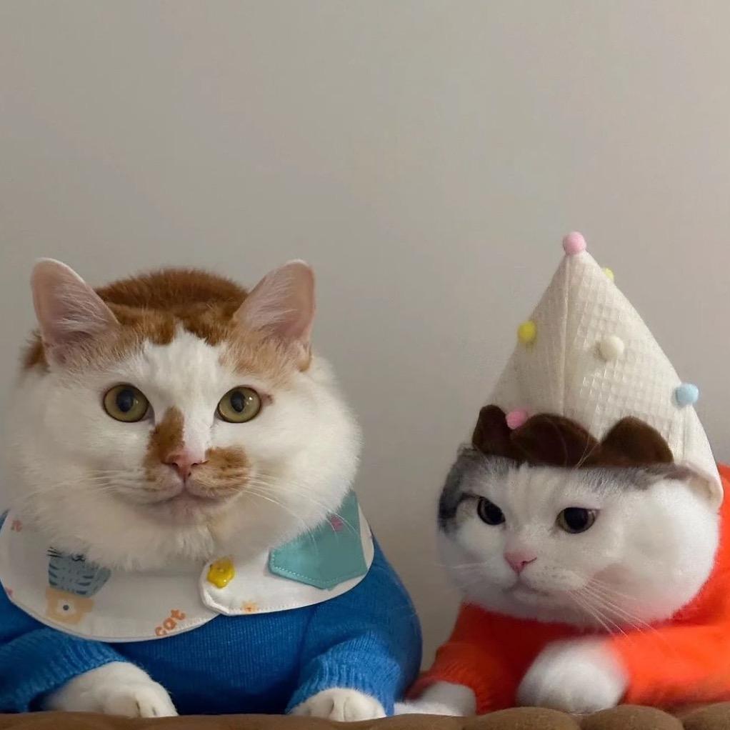 黄金炼乳小馒头🍞🥛