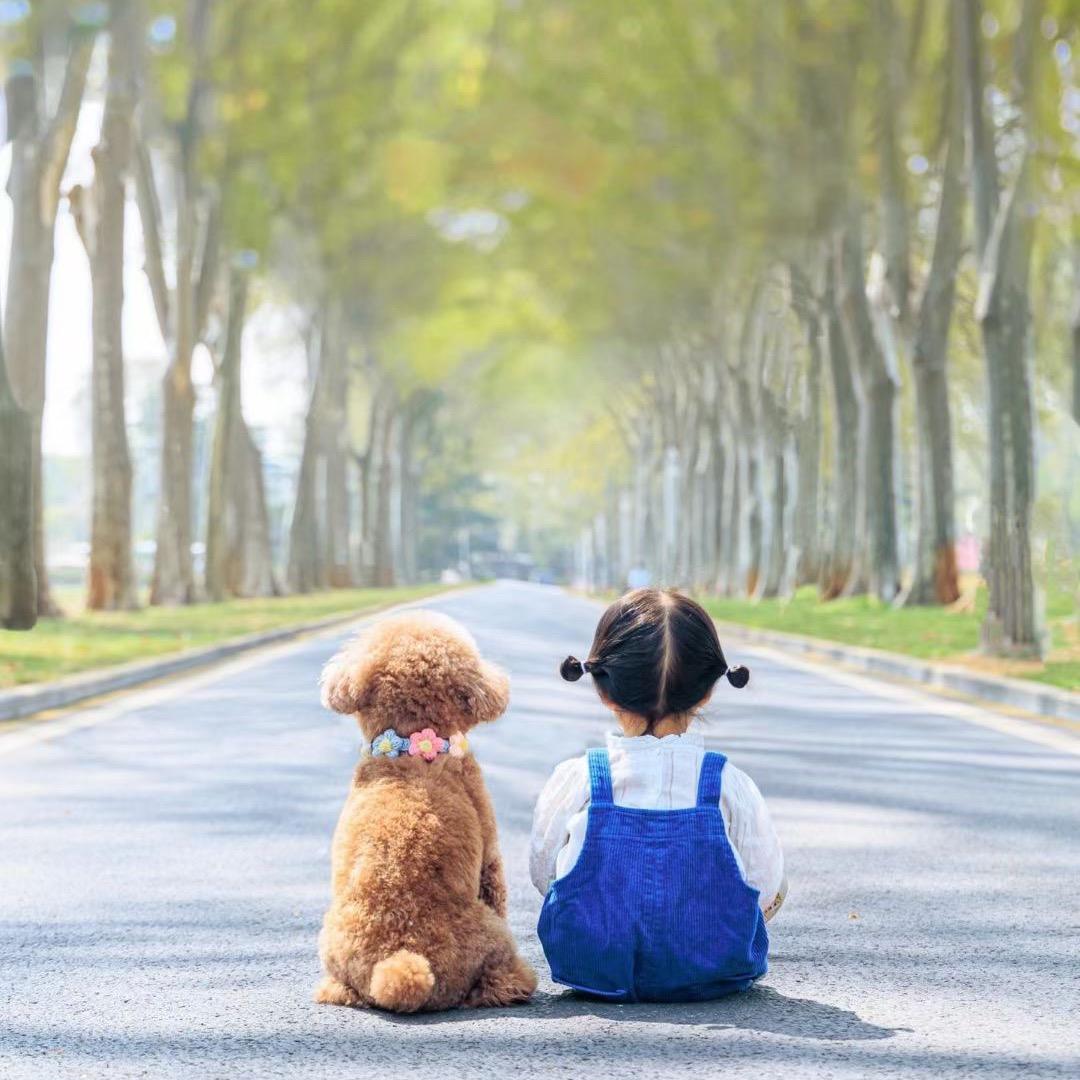 芯👧👶宸宝贝¹º⁻³º