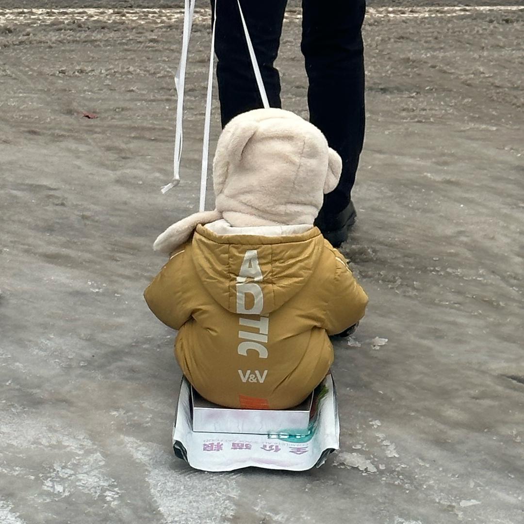 白玫瑰