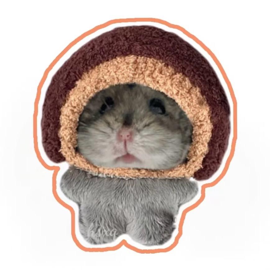 麻辣烫狂热粉丝