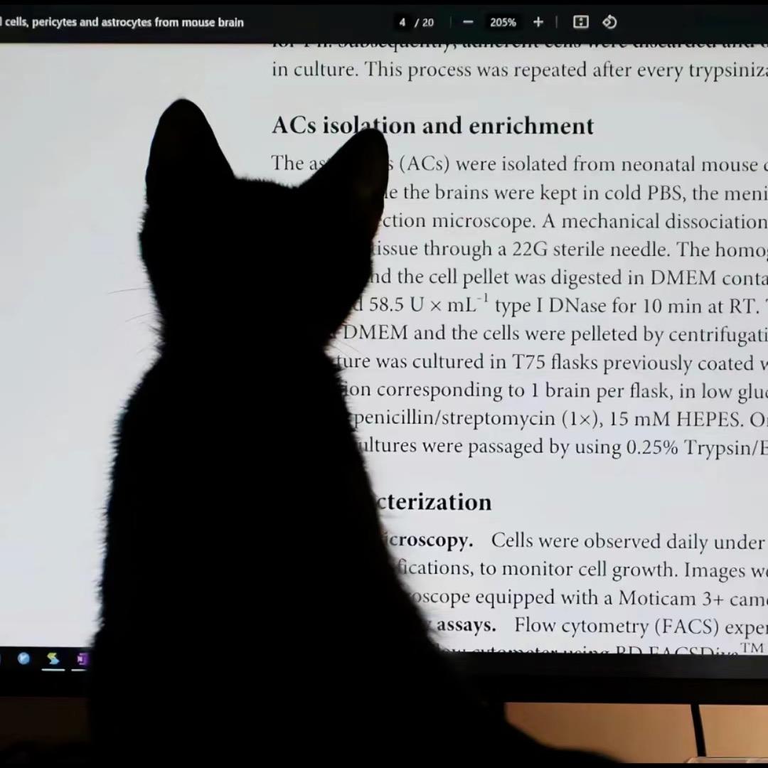 重生之我在抖音要饭