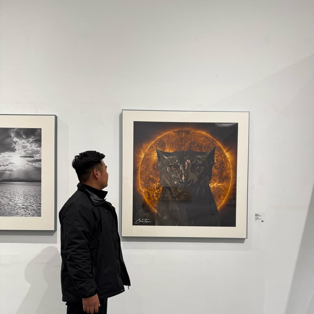 武者张教（只讲大白话）