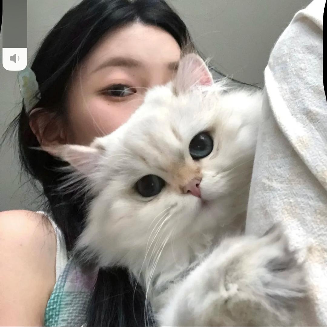 美女有心柿˙Ⱉ˙ฅ