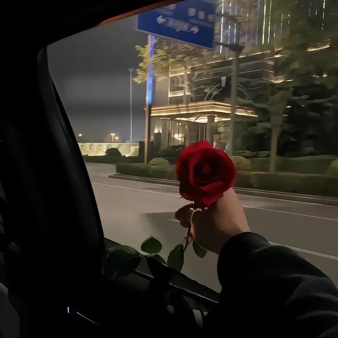 时光里的白十一（OLYO版）