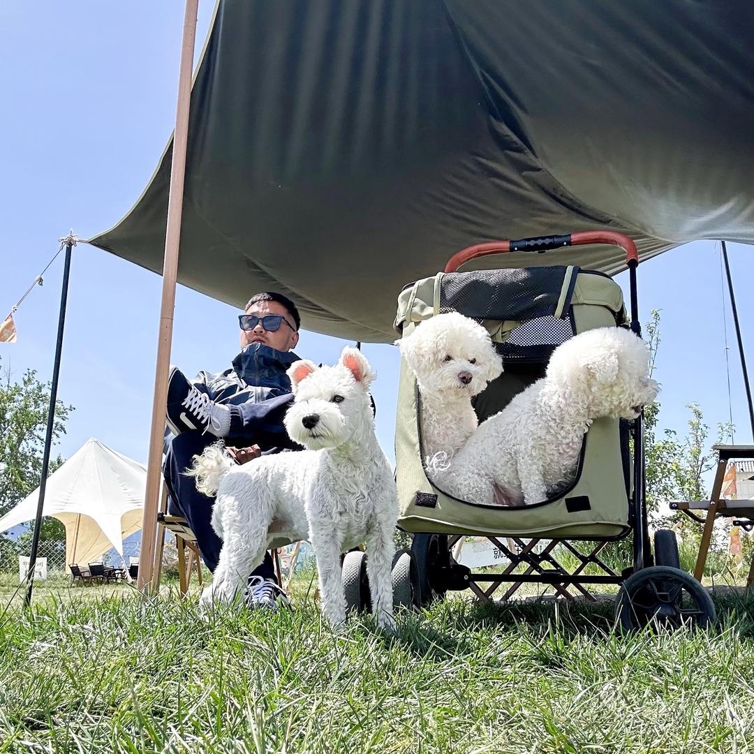 酷酷的淑芬(新疆版)@抖音