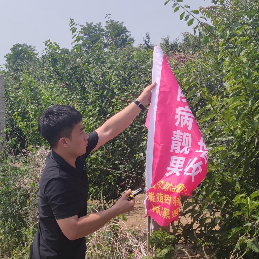农业陈老师