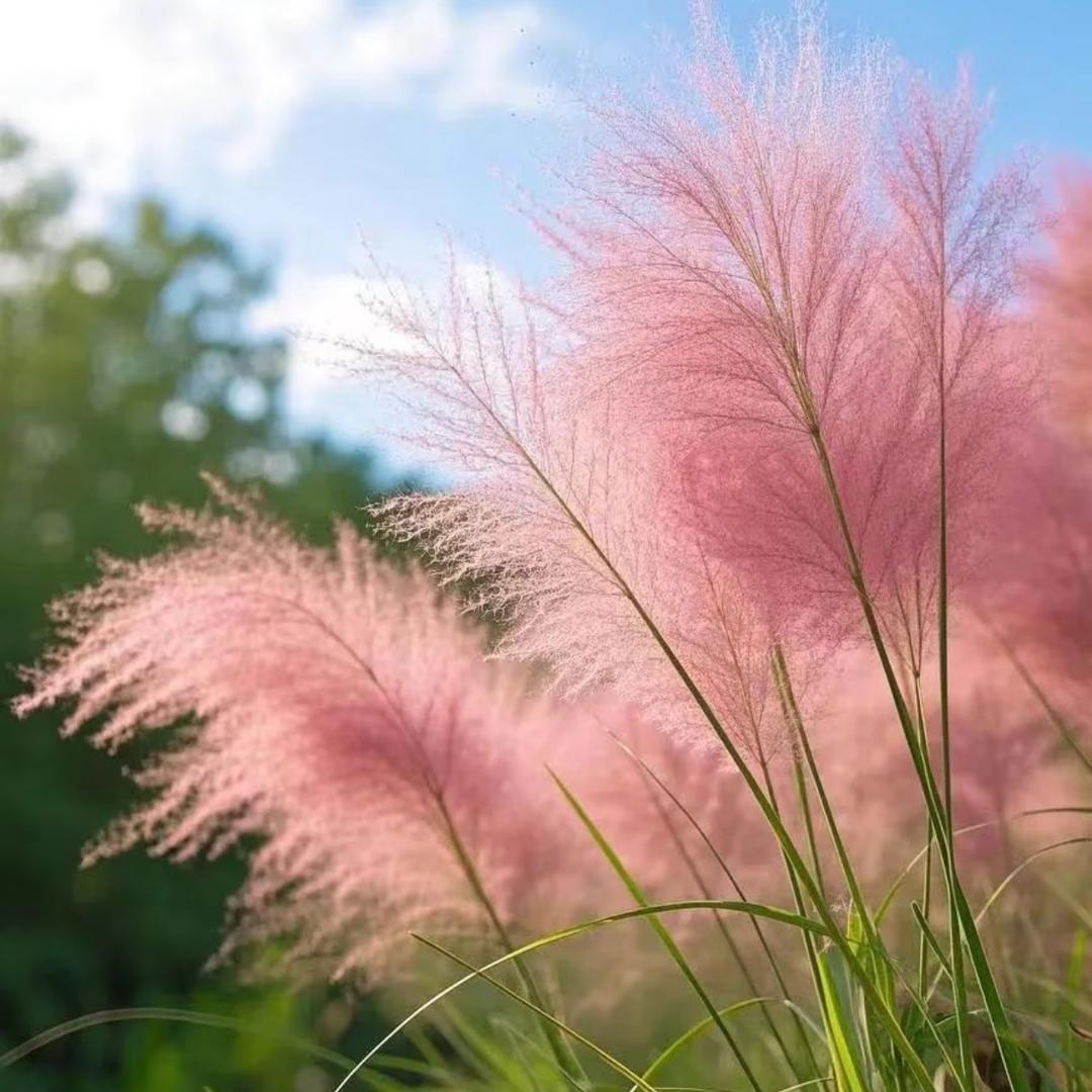 春暖花开。