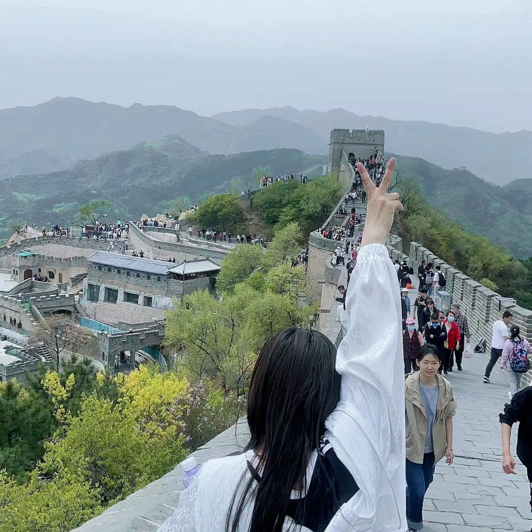 一条小景鲤