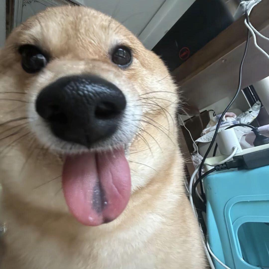 泪水打湿麦当劳