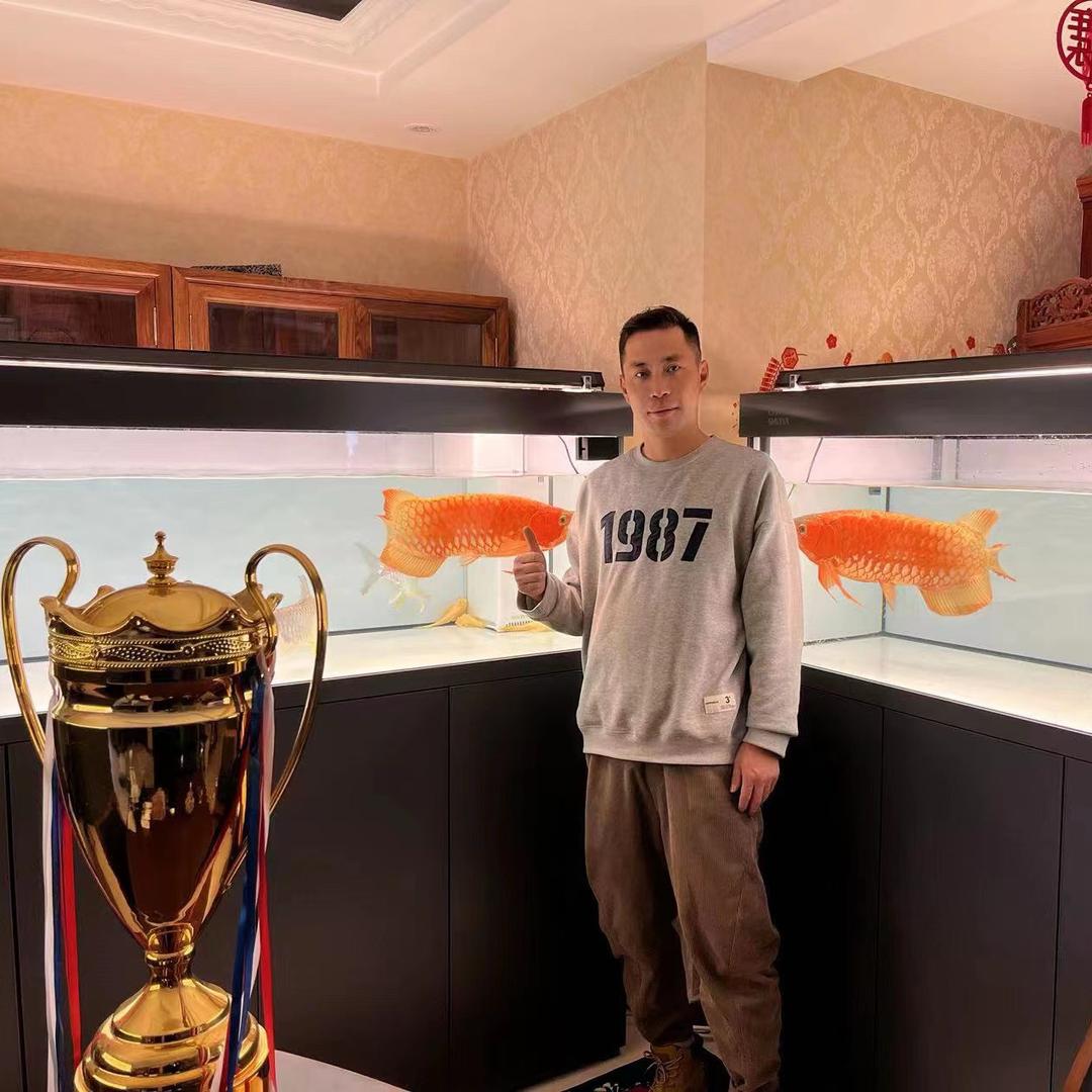 吉吉JJ新派龙鱼