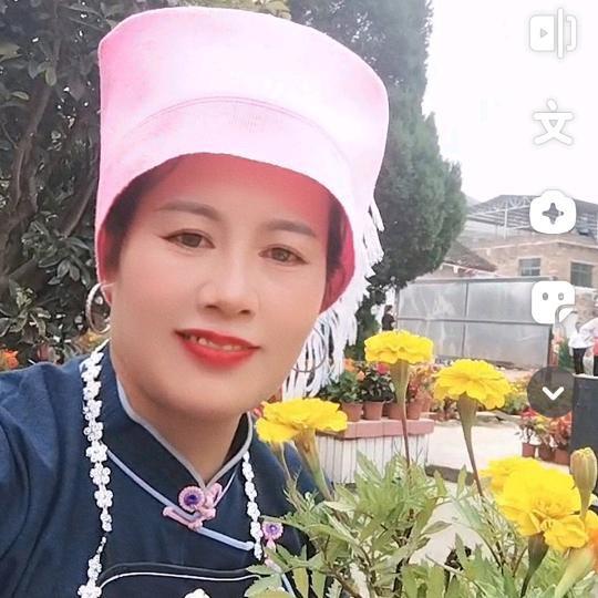 平凡人生