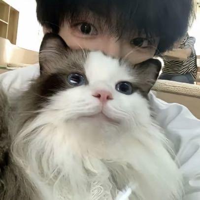 蛋挞小子