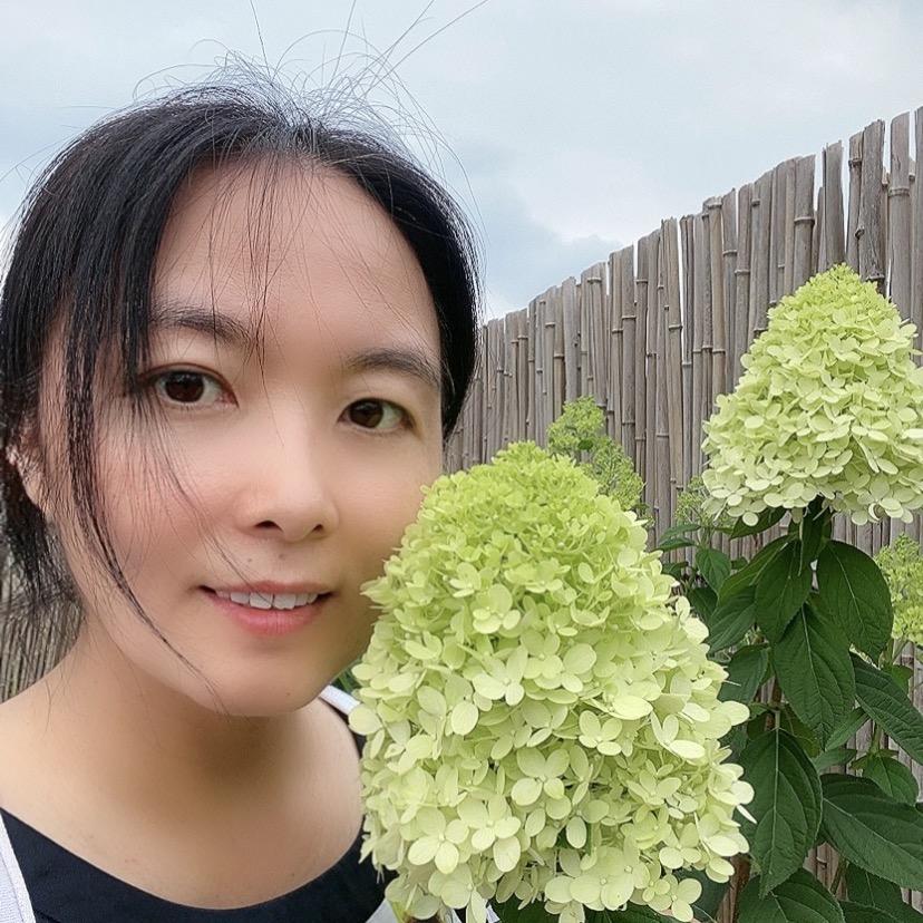 新苗商～新燕