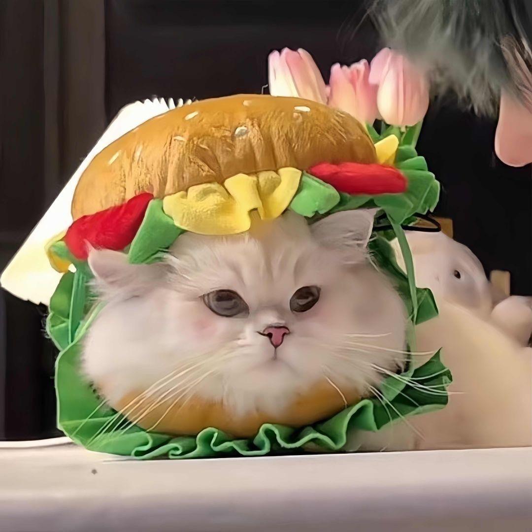-鱼丸粗面