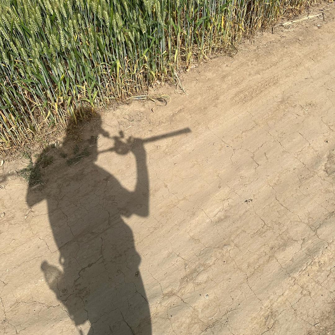呱呱呱🐸