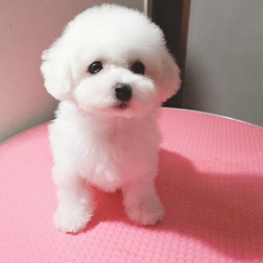 潘
