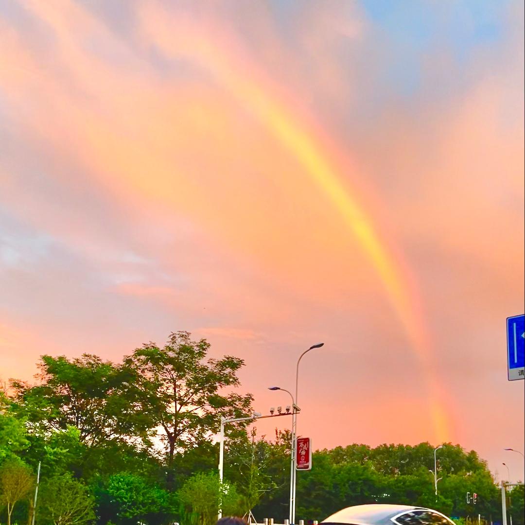 不爱睡觉的小熊猫