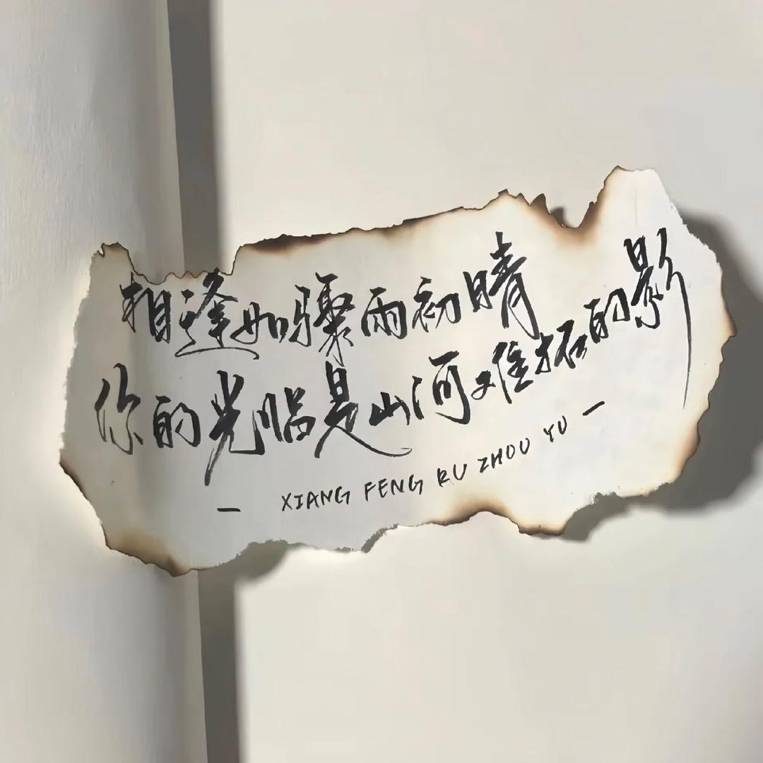 Z·L—1126