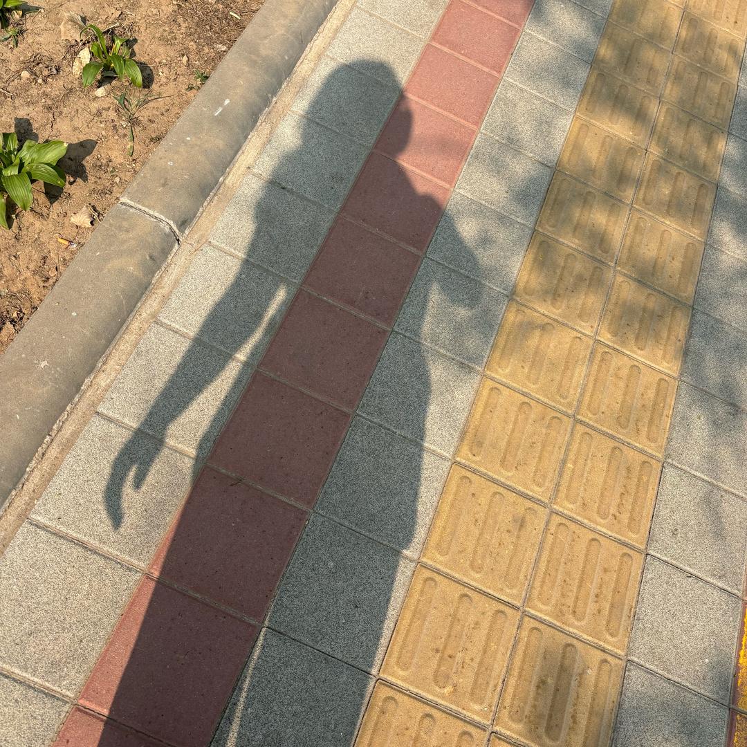 ℳ๓₯㎕半夏