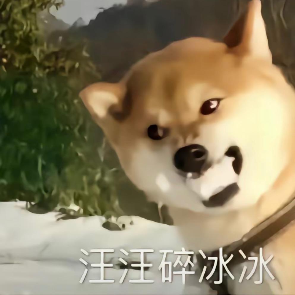绝育的公猫
