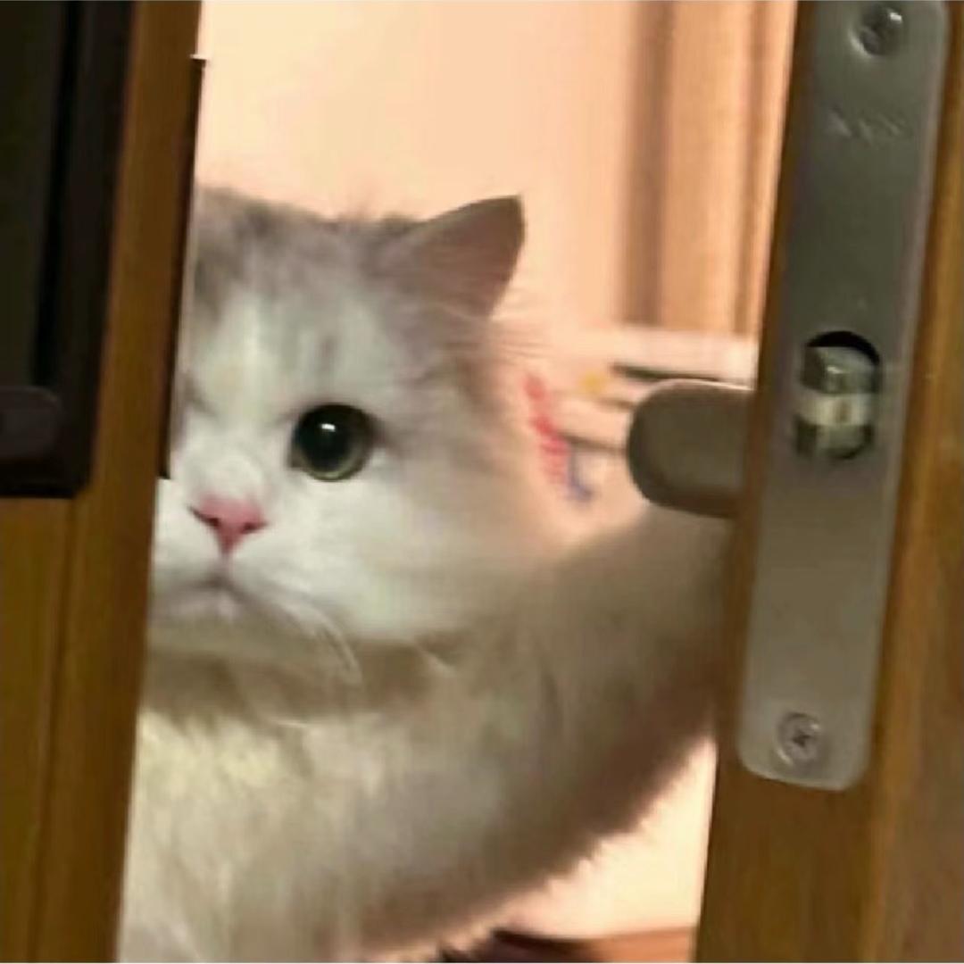 小伊达的花