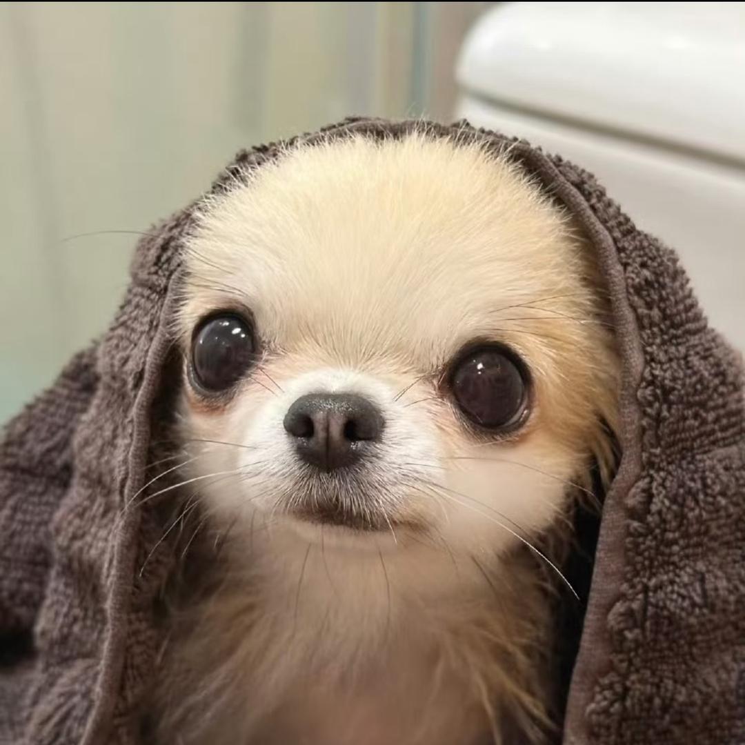 zzj的冬眠假期得嘛！！