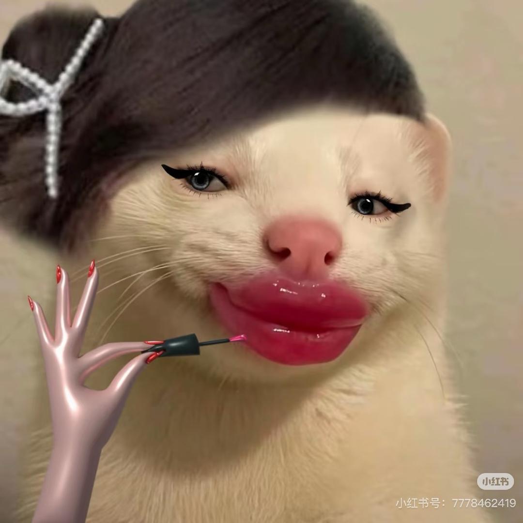 美丽的小公主👸