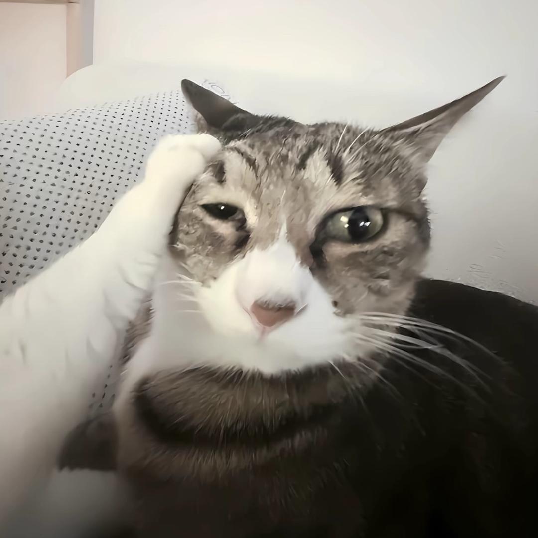 情人