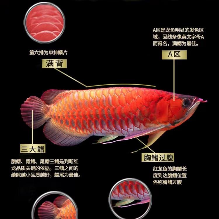龟龟驿站