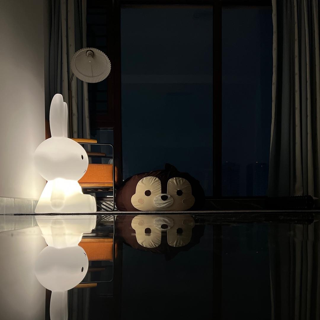 嘟总