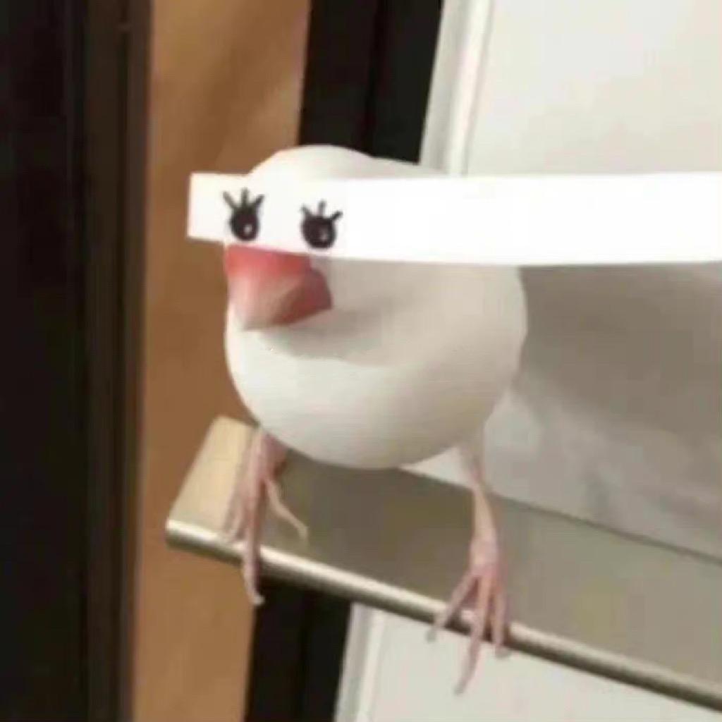 小章鱼午睡电台