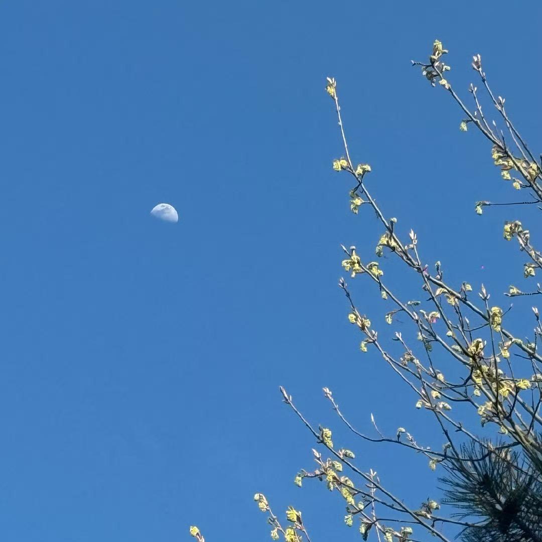 🌛