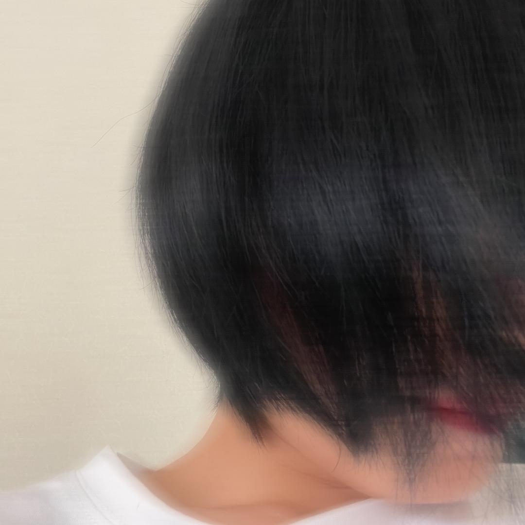 樊小哈