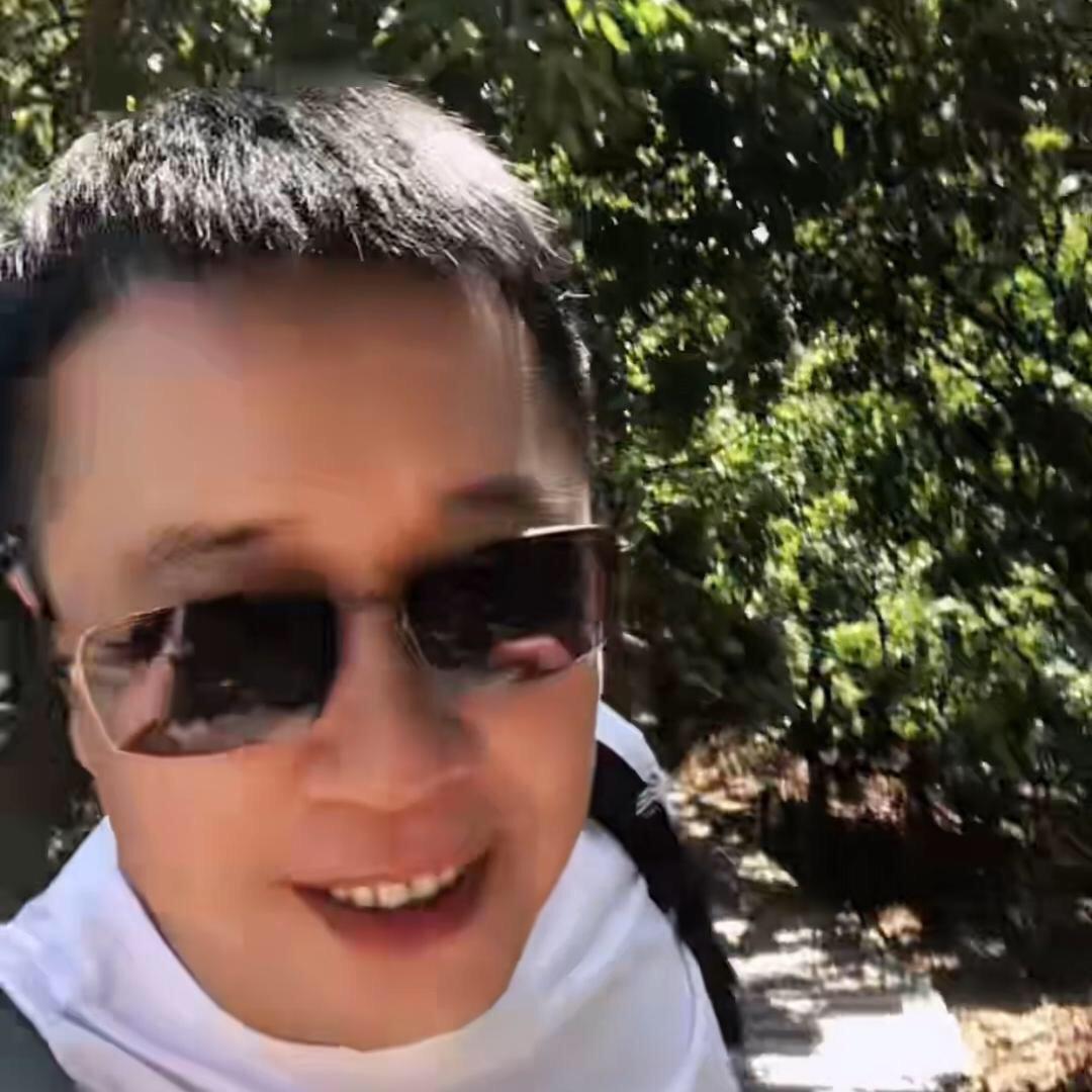 风飞沙