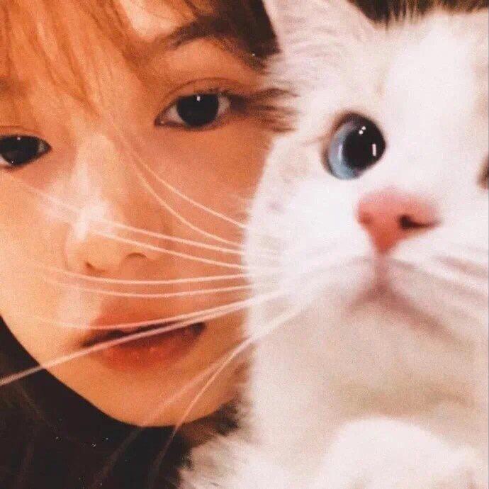 口粮好物
