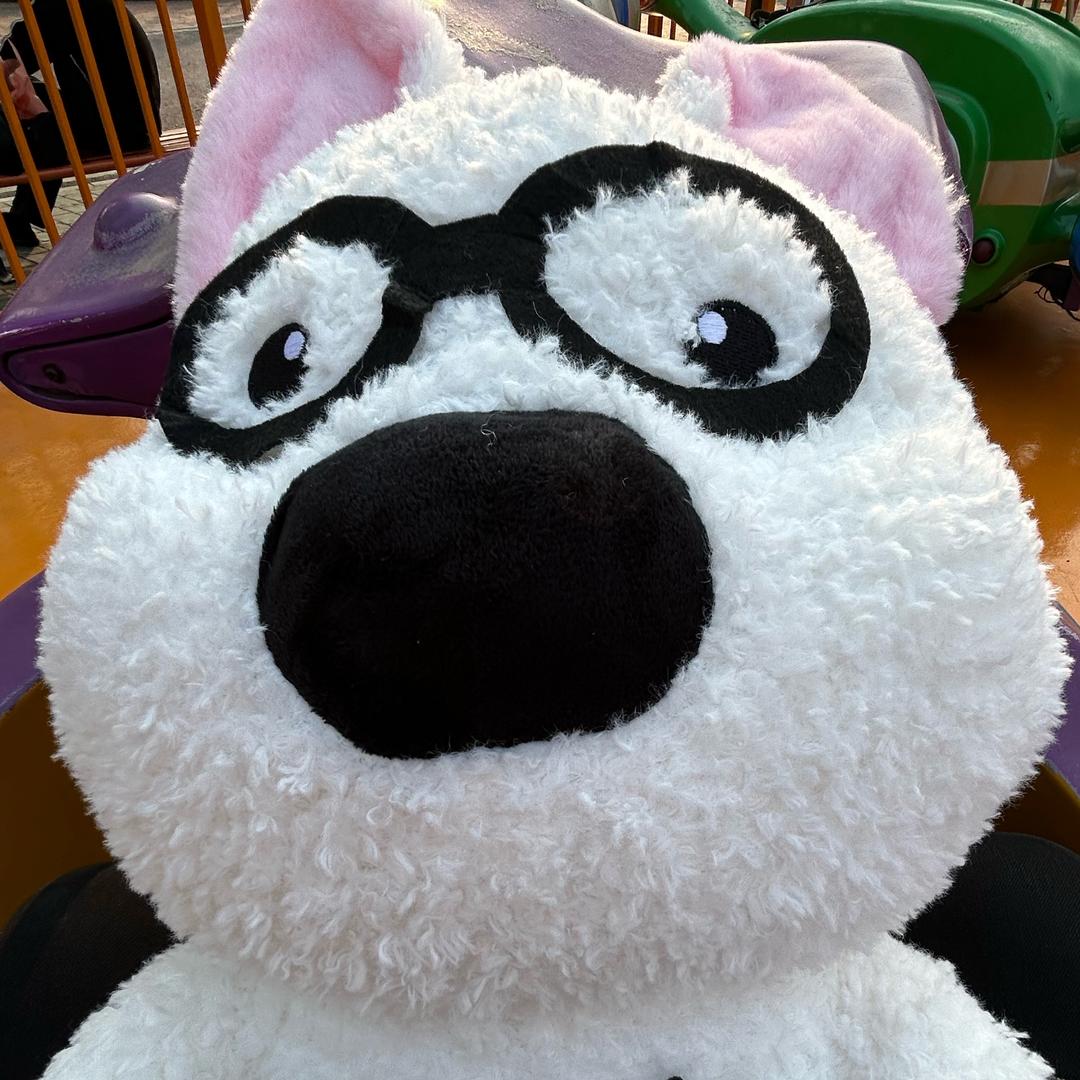 🐑咩咩