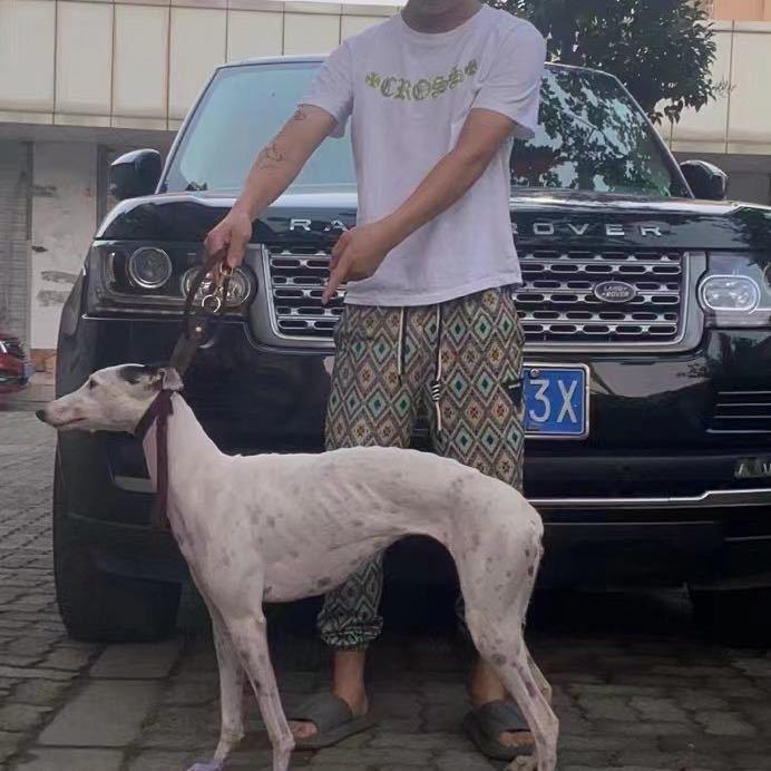 玩家就是玩