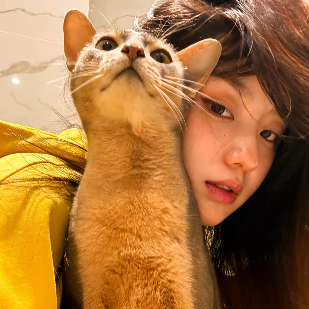 睡觉的时候不困