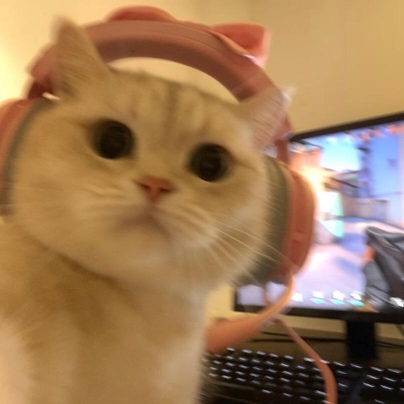 OY