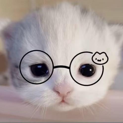 叫什么名