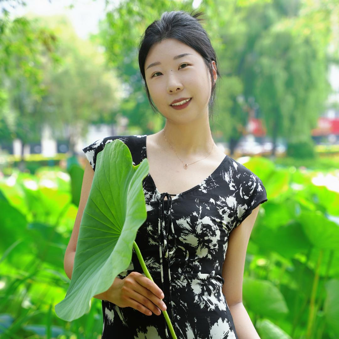 小白鸽🕊