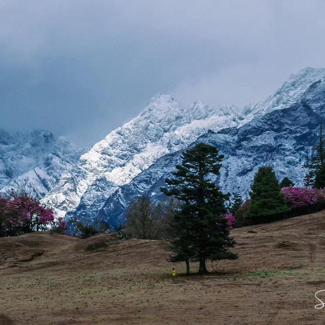 云南旅游省油灯