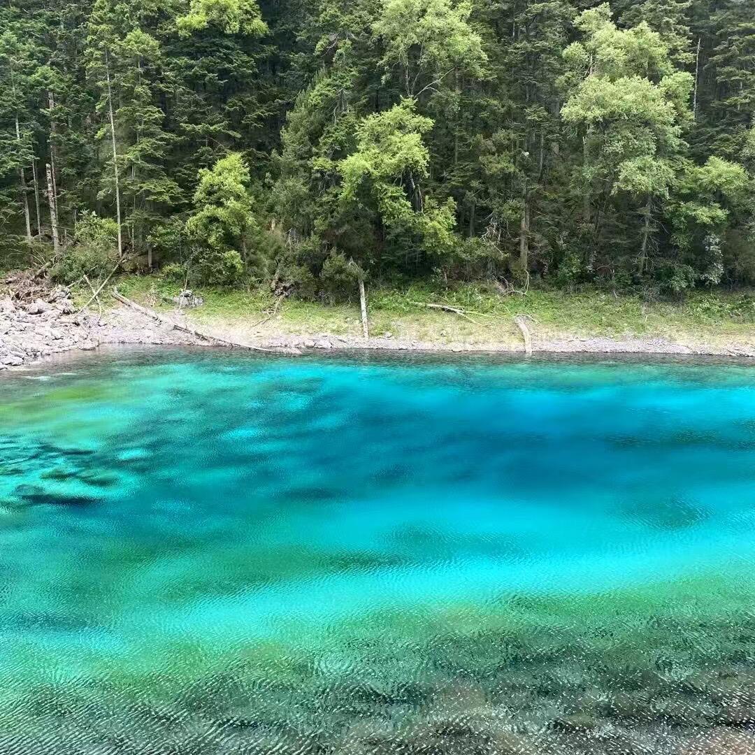 印度阿三