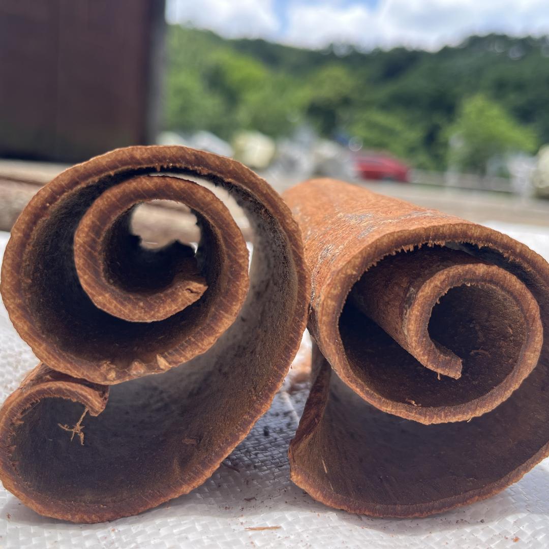 深山玉桂农产品精选铺