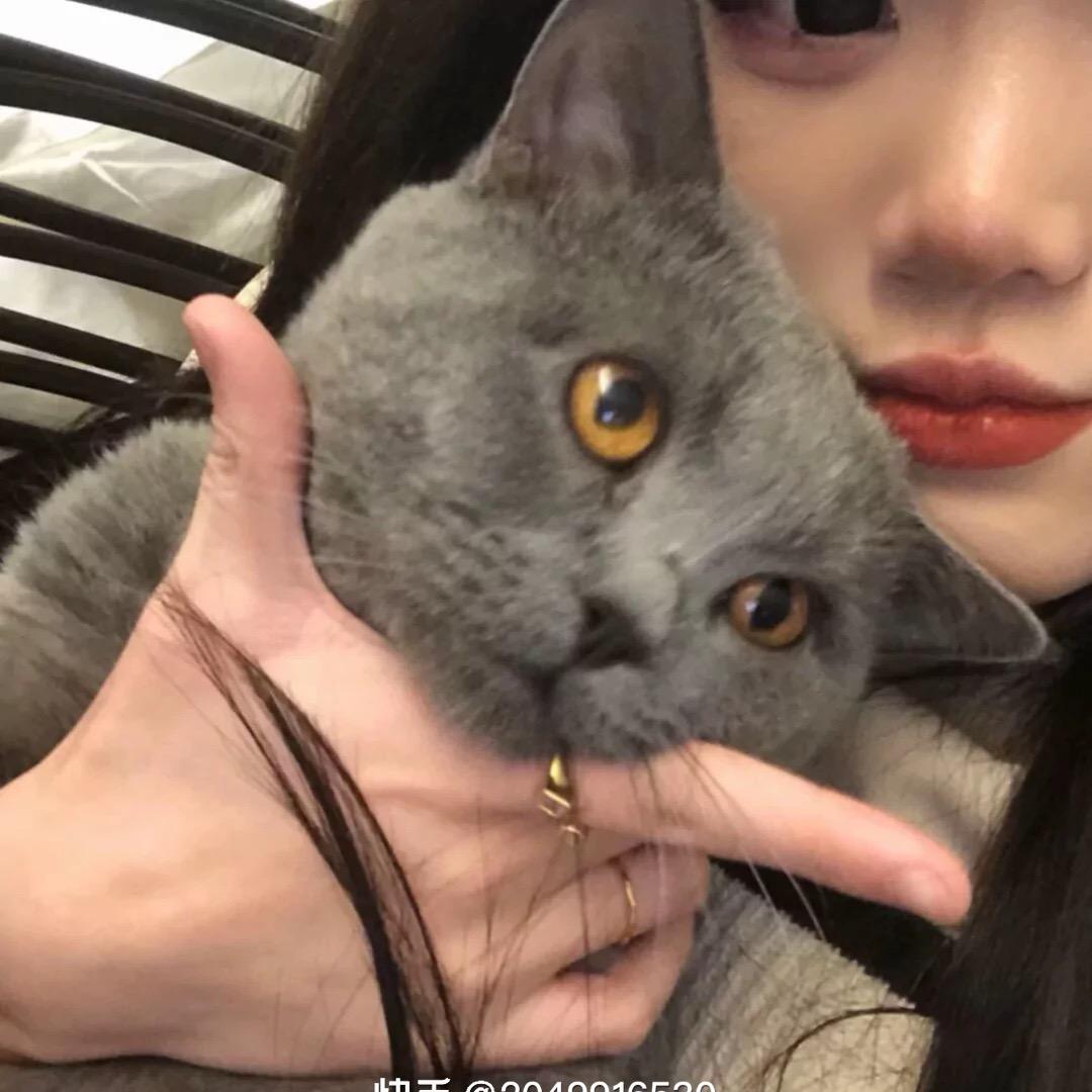 Qq！