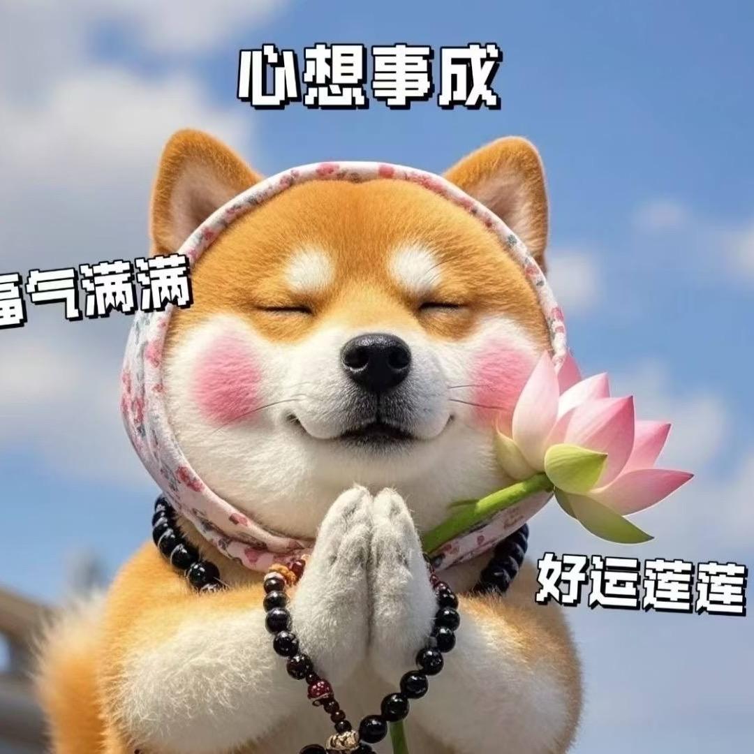硕🌈