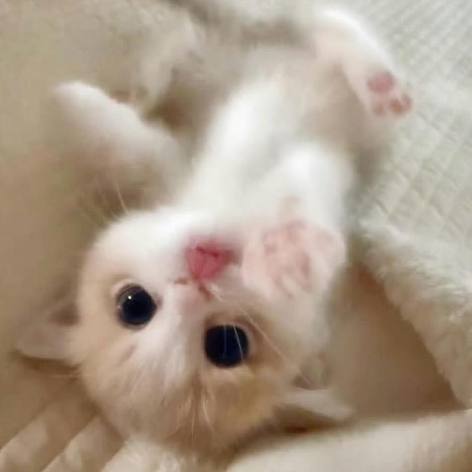 小语淅淅