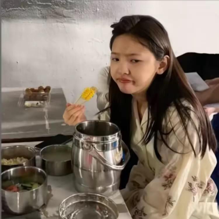 凌晨一点的猫.