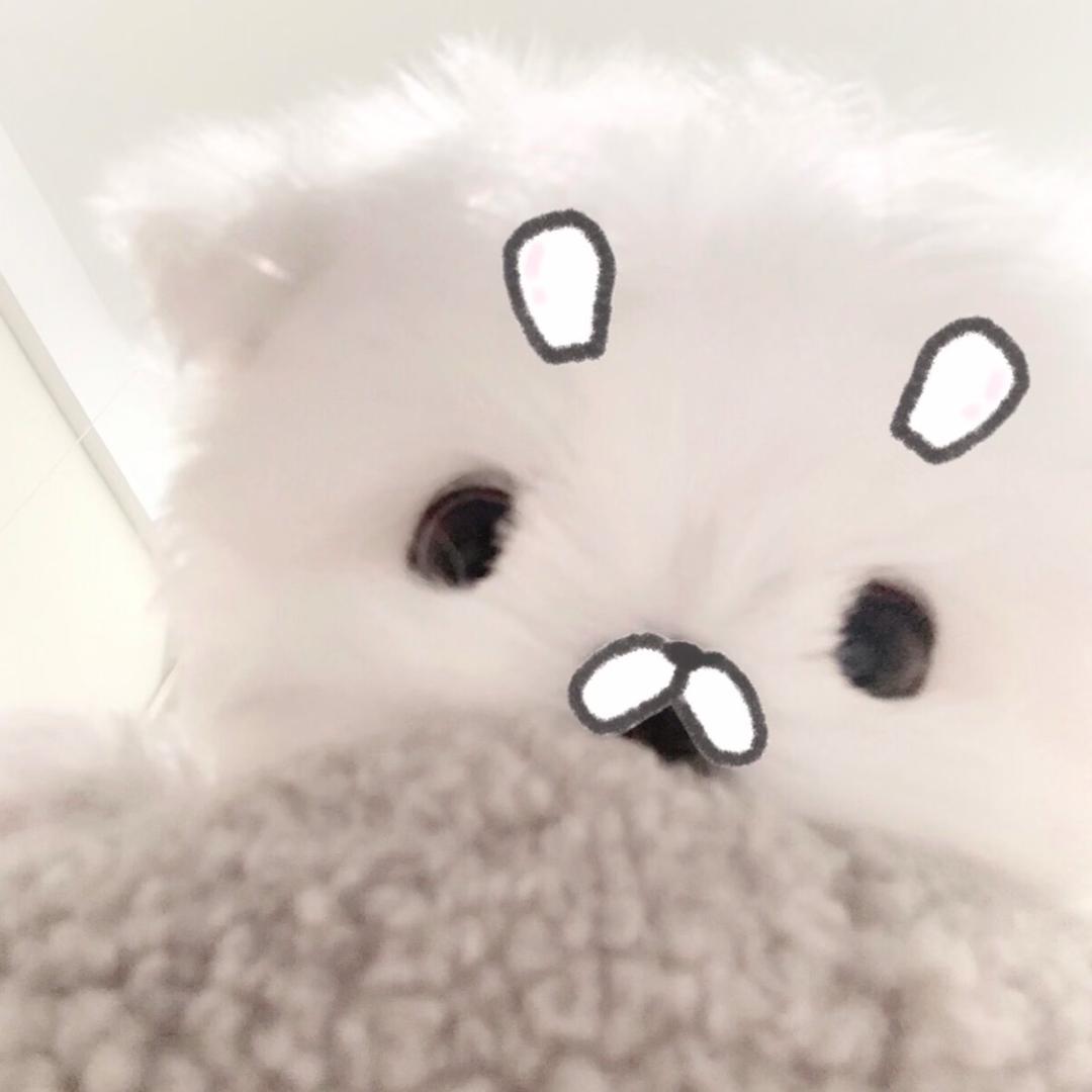 铁柱妍妍•͈ ₃ •͈