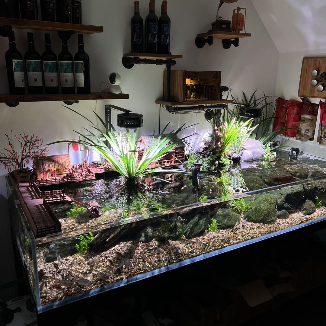 友情工作室·原生造景